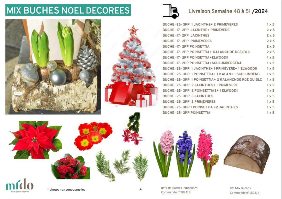 Mix Buches Noel Decorées 48 à 51